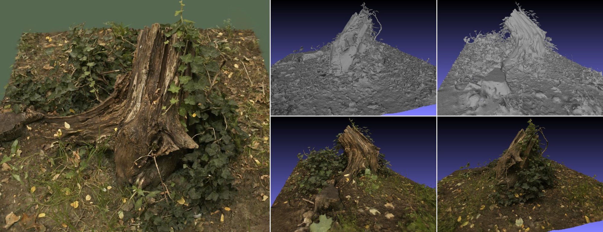 Tree stump Gaussian Splatting reconstruction — extracted mesh and texture views